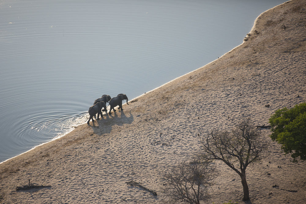 Nambwa Tented Lodge Kongola Екстериор снимка