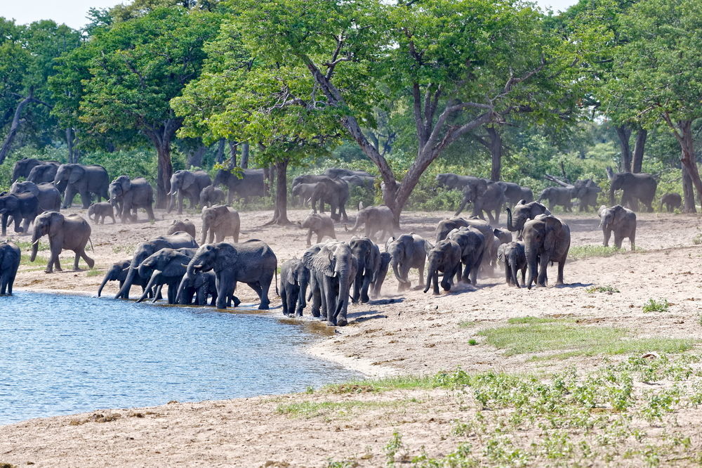 Nambwa Tented Lodge Kongola Екстериор снимка