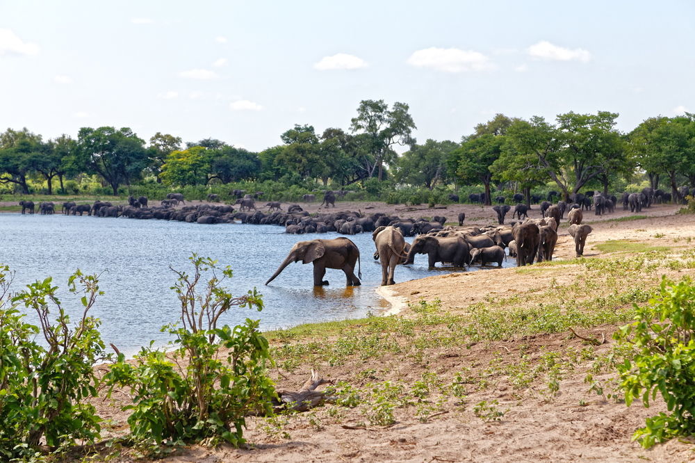 Nambwa Tented Lodge Kongola Екстериор снимка