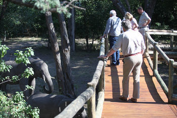 Nambwa Tented Lodge Kongola Екстериор снимка
